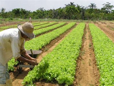 Empresas do agroneg�cio conseguem financiamento de R$: 199 milh�es para investimentos em Mato Grosso