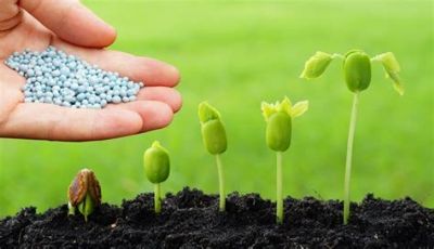 Aumento das importa��es de fertilizantes preocupa mercado, afirma diretor do IEA