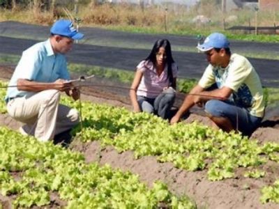 Jovens treinam para suceder os pais no agroneg�cio