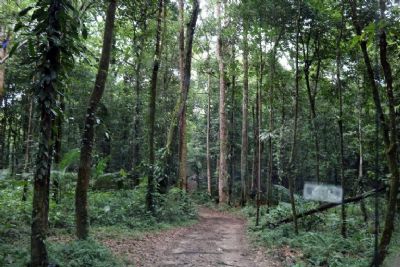 Projeto desobriga produtor de averbar cota de reserva legal na matr�cula do im�vel