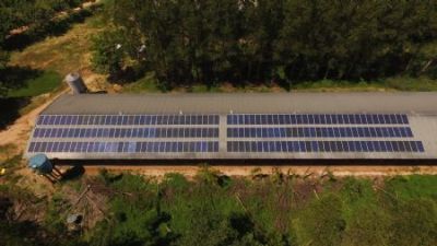 Sicredi financia R$ 151 milh�es em projetos para gera��o de energia solar