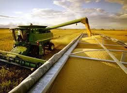 Pre�o da soja vai seguir alto