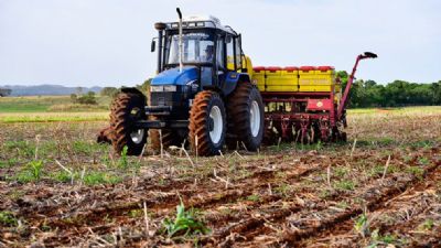 Soja/MT: compra de insumos para a safra 2020/21 atinge 40%, diz Imea
