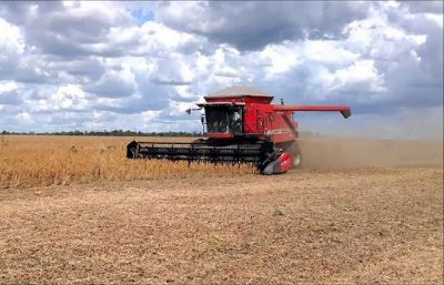 Colheita de soja est� mais lenta no Norte Araguaia