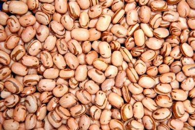 Caf�: NY e Londres passam operar com quedas t�cnicas nesta 6� feira