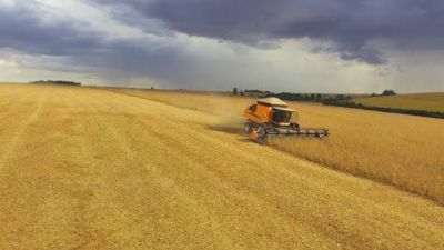 Colheita de soja no Brasil atinge 40% da �rea, diz AgRural