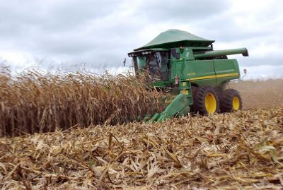 Queda nos embarques de milho na 2a. semana de mar�o, mas m�dia di�ria est� maior que em fevereiro