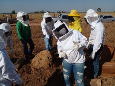 Em dois anos, participante conclui 14 treinamentos de Forma��o Profissional Rural