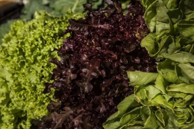 ESTA��O CUIAB� Senar-MT e parceiros se preparam para feira com pequenos produtores