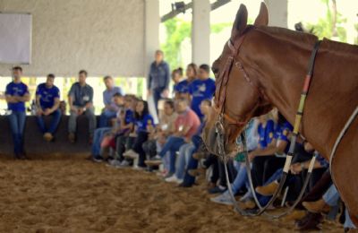 Profissionais de Equoterapia concluem capacita��o em Cuiab�