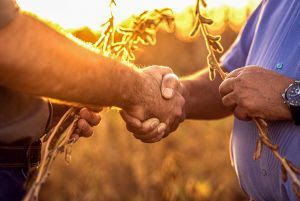 Multinacional lan�a nove produtos para a safra 2023/24