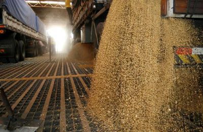 Soja sobe perto de 1% nesta 5� em Chicago em dia de tentativa de retomada dos mercados