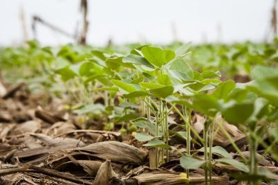 Instrutores credenciados recebem atualiza��o ap�s mudan�as em Norma Regulamentadora