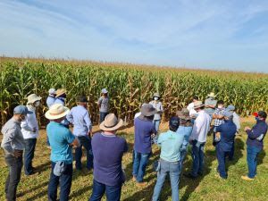 Funda��o MT d� in�cio aos eventos de segunda safra