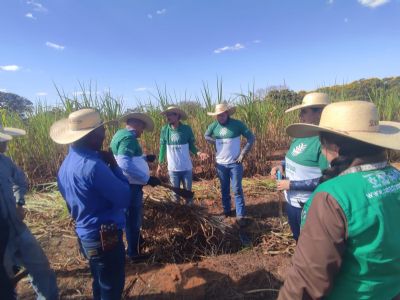 Produtores de Rondon�polis ampliam conhecimentos sobre silagem em curs