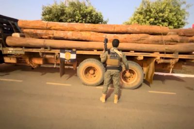 Pol�cia Civil intensifica a��es de combate aos crimes ambientais e apreende madeira ilegal no Nort�o