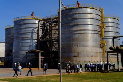 Usinas de etanol de milho mant�m produ��o mesmo com pandemia