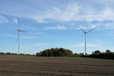 Nova IA promete detectar carne estragada em segundos